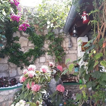 Neda Apartman